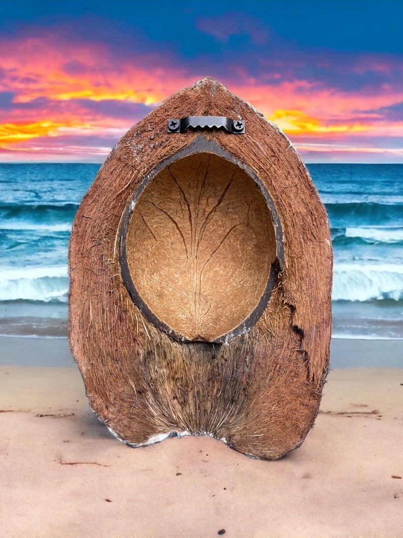 Handcrafted Key West Coconut Decor: Wall Mount Hanger Included - Etsy