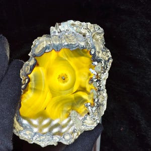 Könnte beinhalten: Eine polierte Achat-Scheibe mit einem leuchtend gelben, durchscheinenden Zentrum mit konzentrischen Ringen und einem dunklen, metallisch wirkenden Außenrand. Die Kanten sind rau und strukturiert und zeigen eine Mischung aus grauen, braunen und kristallinen Mineralablagerungen.