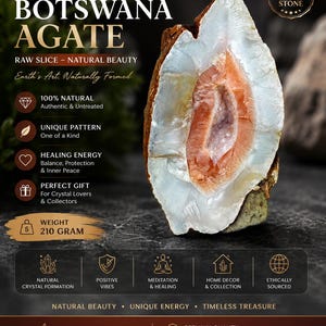 Könnte beinhalten: Eine rohe Scheibe aus Botswana-Achat mit einem Gewicht von 210 Gramm. Der Stein hat einen durchscheinenden weißen Außenrand und ein strukturiertes, pfirsichfarbenes kristallines Zentrum. Der Text auf dem Bild enthält "NATURAL BOTSWANA AGATE", "RAW SLICE" und "WEIGHT 210 GRAM" sowie verschiedene Symbole und beschreibende Etiketten über seinen natürlichen Ursprung.