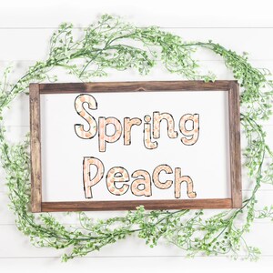 Spring Peach Doodle Letters 52 pngs
