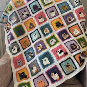 May include: A handmade crochet blanket featuring a grid of square patches, each displaying a unique cat motif in various colors including orange, gray, black, white, and brown. The squares are bordered by white yarn, creating a colorful cat-themed pattern.