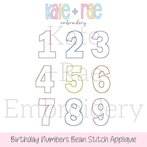 May include: A set of ten colorful bean stitch applique numbers, 1 through 9, for embroidery projects.  The numbers are outlined in white and have a bean stitch design.