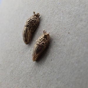 Sister Slug Earrings, Bronze, Handcarved, Slug Studs. image 2