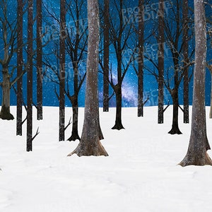 Cenário de palco de Natal e inverno em formato digital para projeção no palco Cenário de piso florestal coberto de neve