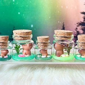 Op de afbeelding: Vijf kleine glazen potten met kurken stoppen, elk met een miniatuur bruin nijlpaardbeeldje. De potten staan op een doorzichtige plank, met een groen-witte basis en kleine planten.