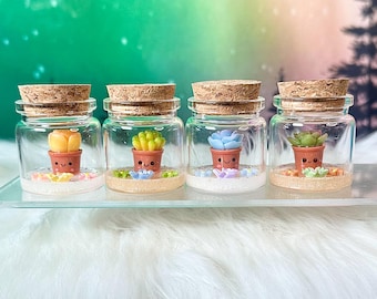 May include: Four clear glass jars with cork stoppers, each containing a miniature succulent in a small brown pot with a smiling face. The succulents are yellow, green, light blue, and dark green, surrounded by tiny colorful decorative flowers.