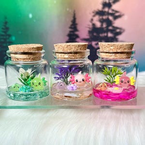 May include: Three small glass jars with cork stoppers, each containing a miniature axolotl figurine, artificial aquatic plants, and colored gravel. The first jar has a green axolotl, the second a pink one, and the third a yellow and pink axolotl.