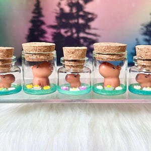 Capybara Desk Pet / The Original Tiny Terrarium Buddies / Fairy Garden Mini Figurine / Gift for Kids / Capybara in a Jar / Adopt a Pet