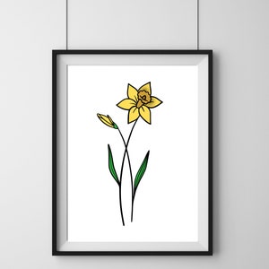 March Birth Flower | Birth Month Flower PNG, Daffodil birth flower gift, Daffodil png