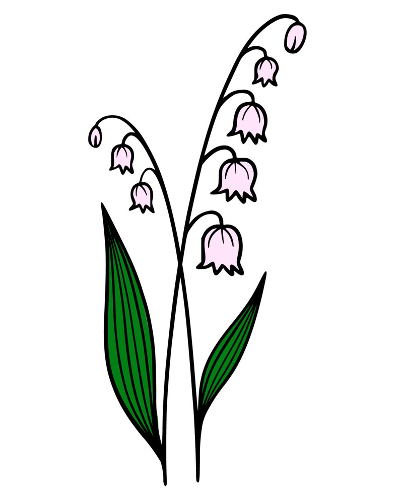 May Birth Flower Birth Month Flower PNG, Lily of the Valley Birth
