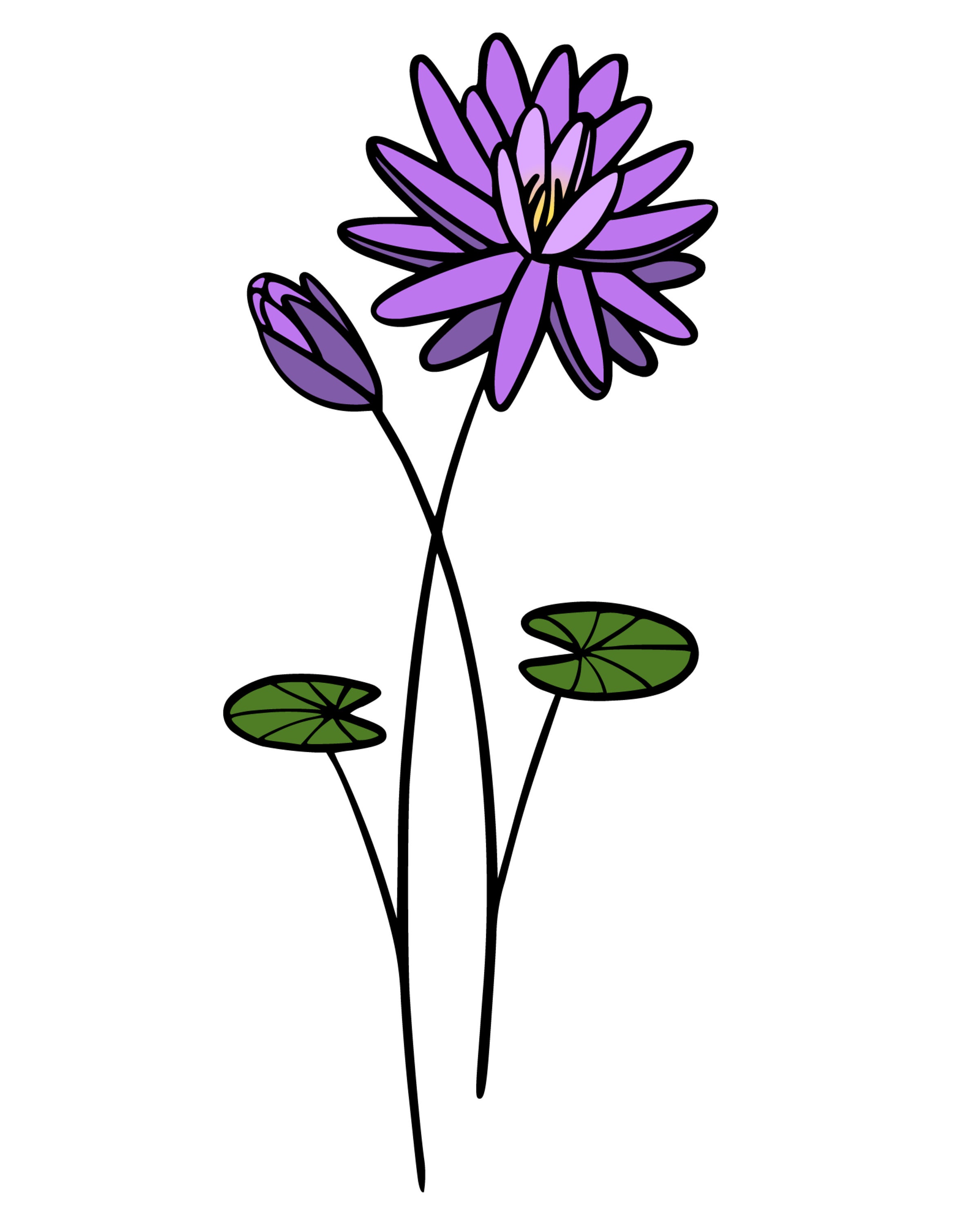 July Birth Flower Birth Month Flower PNG, Waterlily Birth Flower Gift