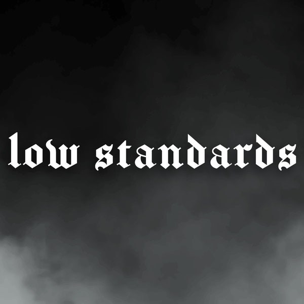 Car Decal Low Standards Etsy
