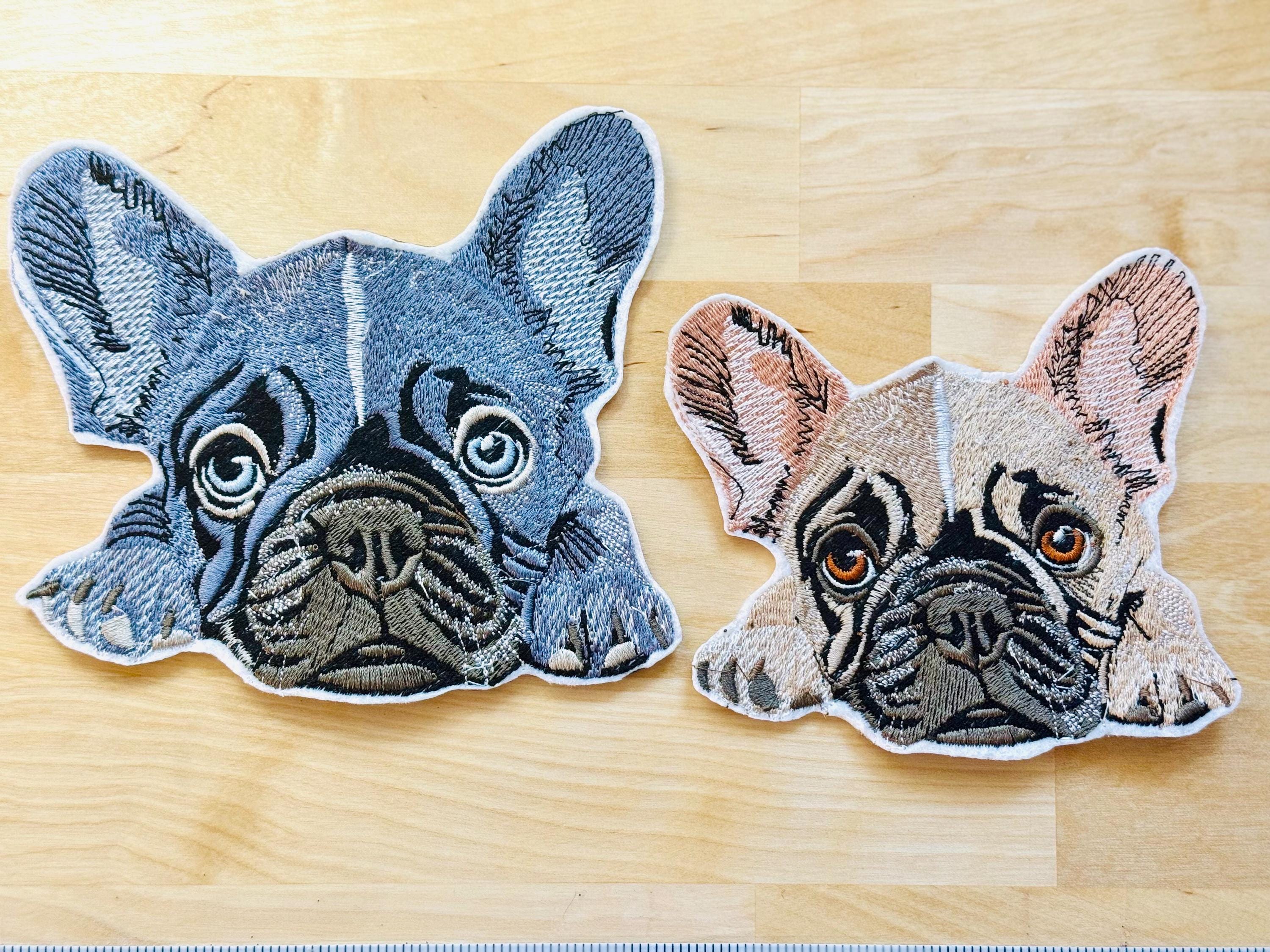 Bulldog Francese Di Razza Ritratto Di Buldog Francese Fotografia Stock - Foto 14