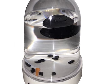 Melted Snowman Snowglobe - Florida, Arizona, California, Or Texas Snow Globe