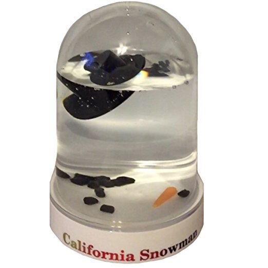 Melted Snowman Snowglobe Florida, Arizona, California, or Texas Snow