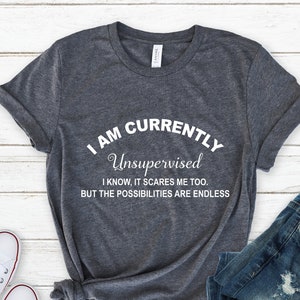 I Am Currently Unsupervised, Ladies Shirt, I Know It Scares Me Too, Cute Funny Slogan Novelty top, Funny Graphic Tee, Sarcastic Shirt