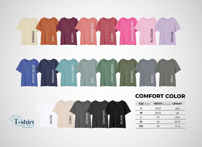 Comfort Colors I Got My Appendix Removed At Claire's Shirt, Unisex Trending Shirt, Funny Meme Shirt Gift for Her, TikTok Trending Shirt image 8