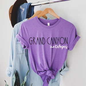 Timeless College T-Shirts / Game Day Attire / Personalized Campus Style