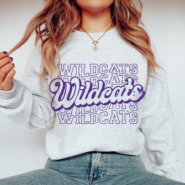 Nostalgic College Sweatshirts / Tailgate Essentials / Customized University Gear