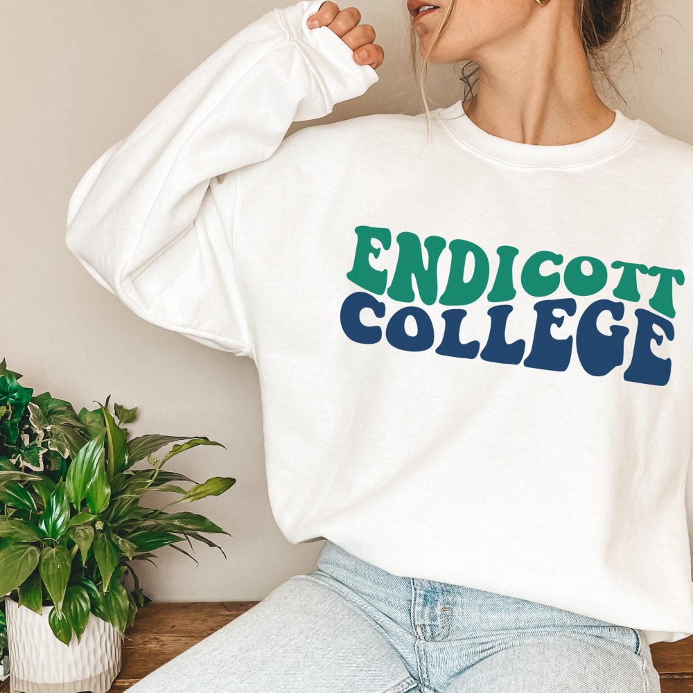 Retro College Sweatshirts / Campus Pride Wear / Personalized University Apparel 4Fansport