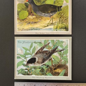 Van Houten's Cocoa - Victorian Trade Cards - 2 Kartenset