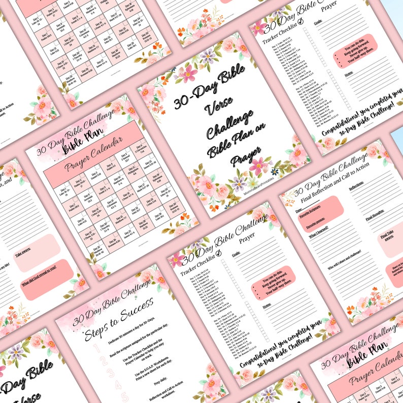 30 Day Bible Challenge 30 Day Tracker Bible Reading Plan Etsy