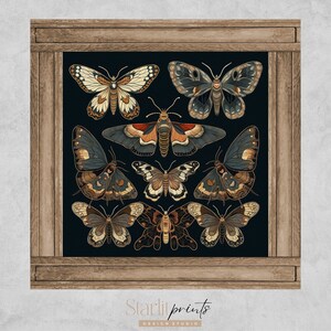 Moody Moth Print | Academia Print | black Butterly | Digital Download | moody Insect Painting | Moody Moth Painting, oil style print vintage