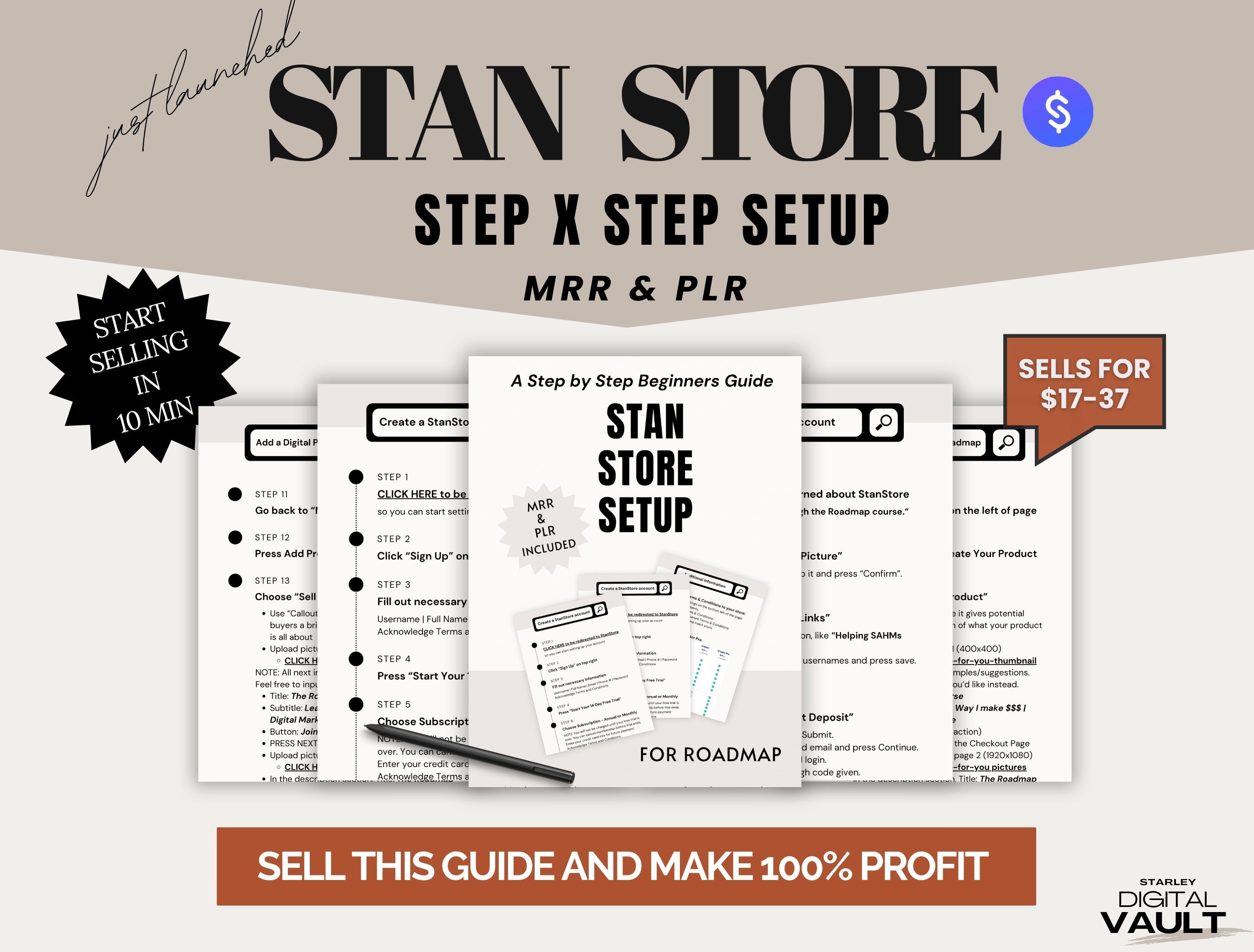 Stan Store Setup, Guide to Set up Stan, Done-For-Your Guide, Digital Marketing, Passive Income, Roadmap setup, digital marketing, PLR, MRR