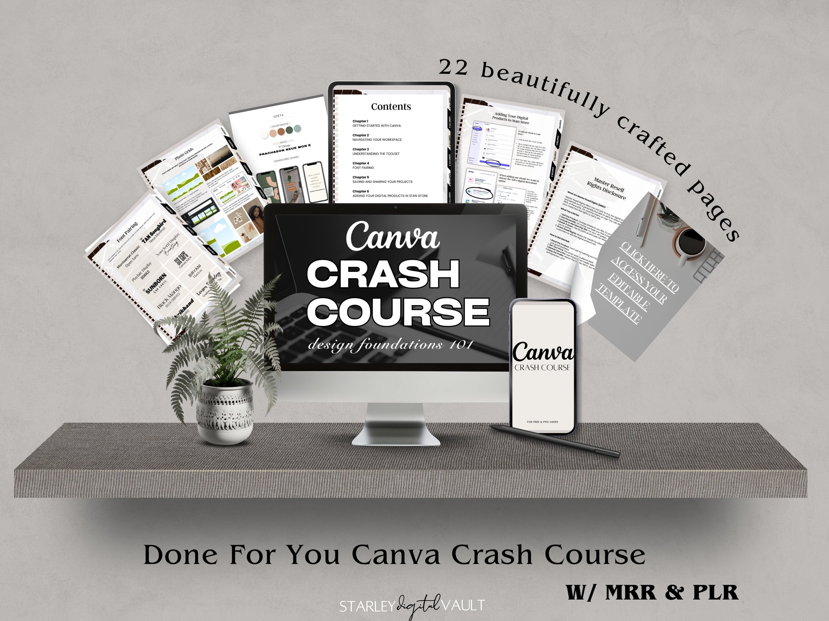 Canva Crash Course and Master Resell Rights (MRR) With Private Label ...