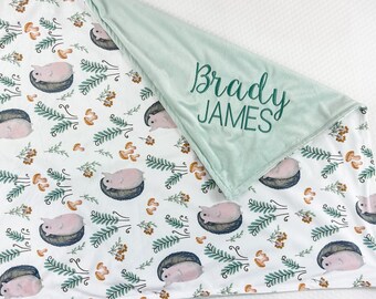 Cobertor minky para bebê com nome, cobertor de bebê personalizado para menino, presente exclusivo de chá de bebê, cobertor com animais, presente personalizado para bebê, 9