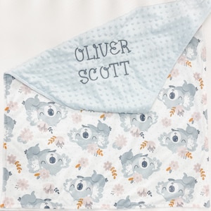 Personalized Baby Blanket, Blanket with Animals for Girls and Boys, Minky Blanket with Name, Baby Gift Newborn, Embroidered blanket, 22
