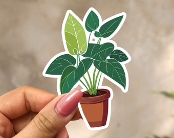 Pothos Plant Sticker | Vinyl Houseplant Decal