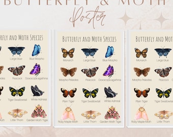 Educational Butterfly and Moth Print: Montessori Classroom Decor (Digital Download)