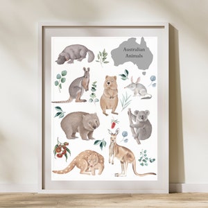Cartel de animales, animales australianos, Montessori, cartel educativo, impresión animal digital, aprendizaje en el hogar, decoración de la sala de juegos, arte de la guardería, impresión