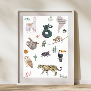 Pôster de animais, pôster educativo, animais do mundo, impressão em casa, Montessori, impressão digital, continentes, mapa mundi, decoração de berçário,