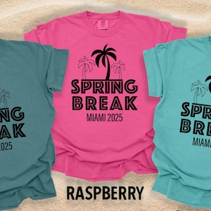 Camisetas personalizadas para las vacaciones de primavera, vacaciones de primavera de 2025, camisetas para vacaciones familiares, camisetas a juego para las vacaciones de primavera, camisetas a juego para las vacaciones, crucero familiar