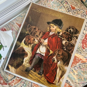 Sarsaparilla Advertisement Metal Picture