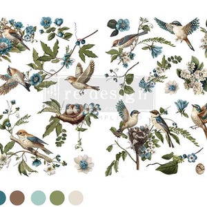 Decor Transfers - Aviary Elegance (24” x 35”) - 2 sheets