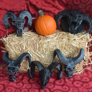May include: A Halloween-themed display featuring black ram skull decorations with curved horns and an orange pumpkin. The skulls have detailed features and are arranged on a bed of hay against a red patterned backdrop.