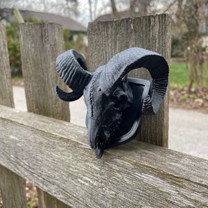 May include: Black ram skull sculpture with detailed horns mounted on a wooden fence.