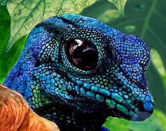 Gecko azul elétrico do dia