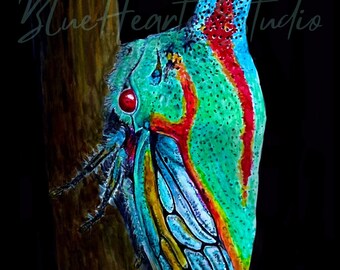 Carvalho Treehopper