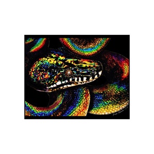 Poster Weißlippenpython