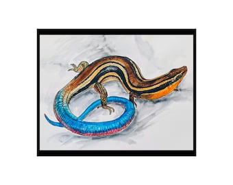 Western Skink 2 Fine Art Poster