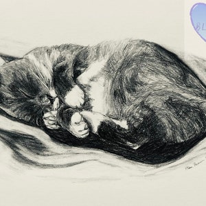 Saskatoon duerme profundamente