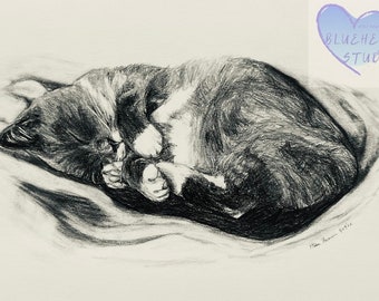 Saskatoon dormindo profundamente