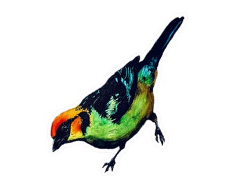Flame-Faced Tanager 1 Vinyl Decal