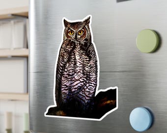 Night Owl Vinyl Decal