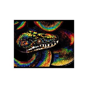 Op de afbeelding: Een close-up van de kop en het lichaam van een slang, met een levendige weergave van kleuren. De schubben van de slang glinsteren met een regenboogeffect, met tinten geel, groen, blauw en rood tegen een donkere achtergrond. Het oog van de slang is zichtbaar.