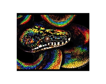 White-Lipped Python Fine Art Poster